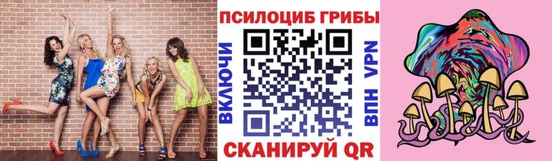Купить  Кольчугино  Галлюциногенные грибы Cubensis 